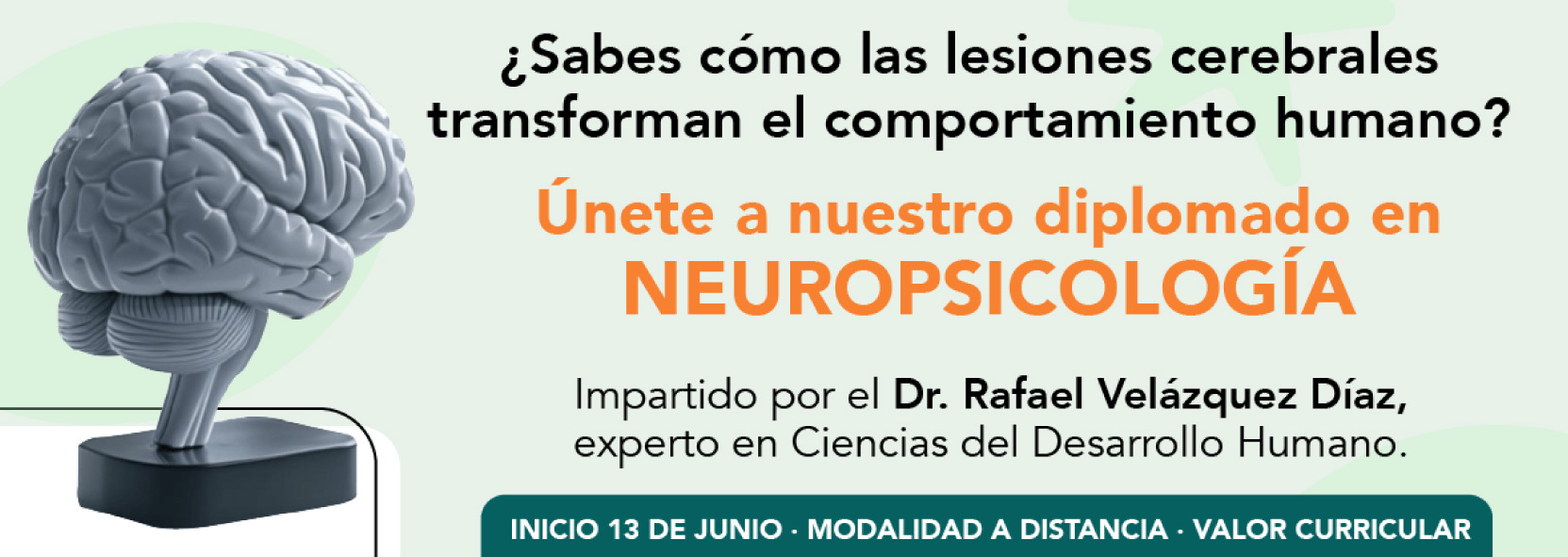 neuropsicologa